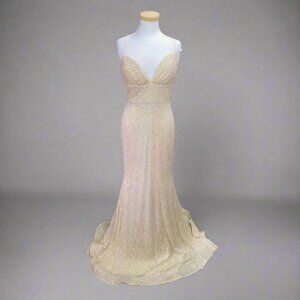 The Secret Dress champagne sequin dress, sizes 4 & 10, BRAND NEW WITH TAGS!